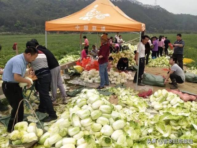 华夏骄子(华夏骄子平板)