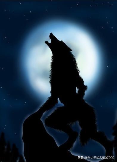 健身使你的生活发生了怎样的改变？