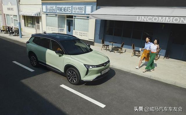 中国最好的电动汽车，不选特斯拉，国内智能汽车选哪个品牌最好？