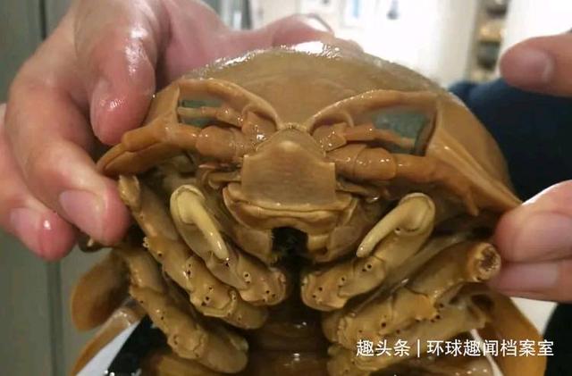 蜈蚣恋爱体:《西游记》孙悟空找昴日星官现出本相能对付蜈蚣精吗？为什么？
