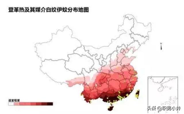 冈比亚鼠:如果地球上的老鼠全部灭绝会怎样？