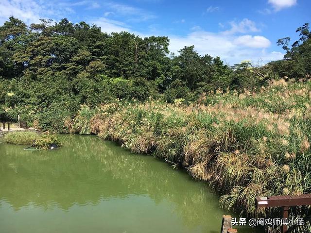 饲料鱼:海产品饲料鱼的生意怎么样？