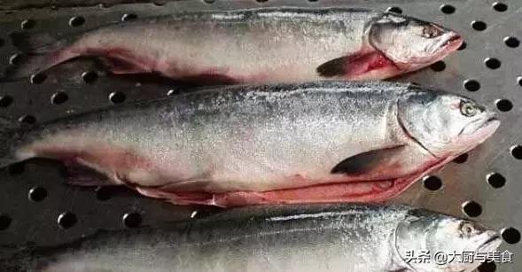 吉林松花江的什么鱼最好吃？