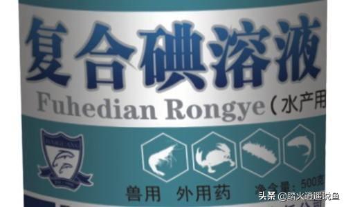 血鹦鹉鱼烂鳃:鱼友们，我这血鹦鹉用黄粉没效果，现在开始皮肤溃烂，怎么治呢？ 血鹦鹉鱼烂鳞怎么办