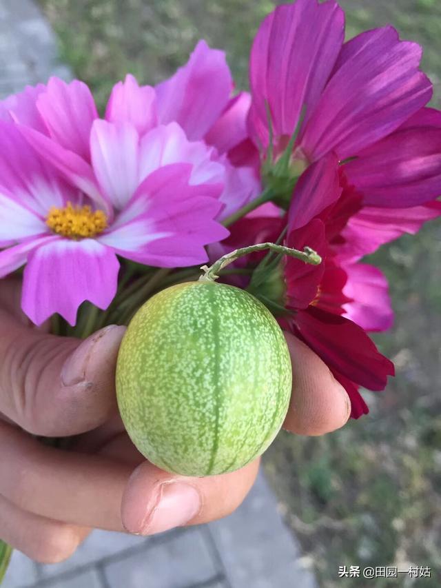 零食:哪几种零食小吃是你小时候记忆中最美味的，现在却找不到了？