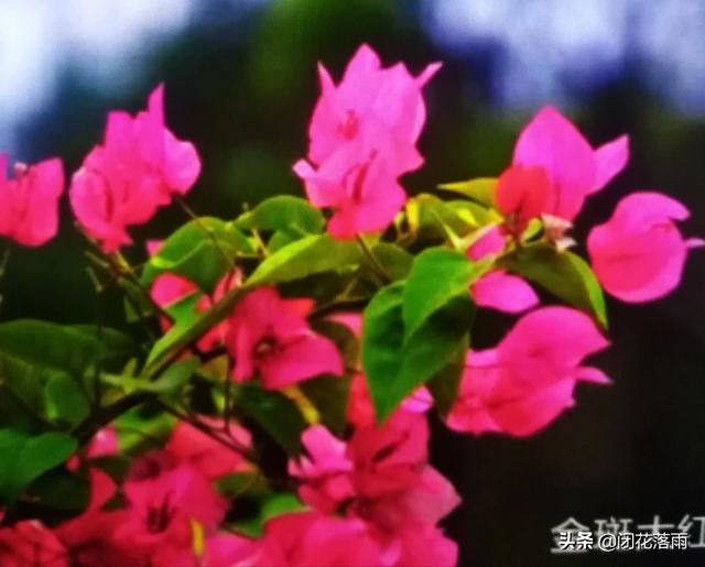 外遇稀有品种:现如今，出轨真的普遍存在吗？什么类型的人容易出轨？