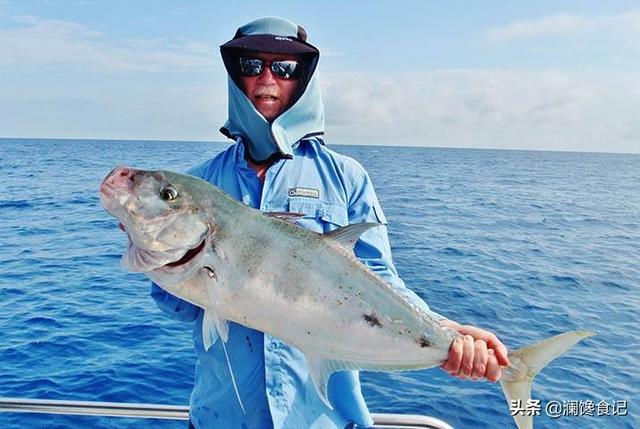 深海巨腹鱼在哪钓:90后想做个职业海钓人，去哪里比较合适？