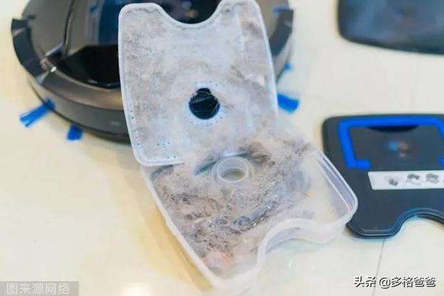 宠物狗种类:最受美国欢迎的宠物狗品种有哪些？