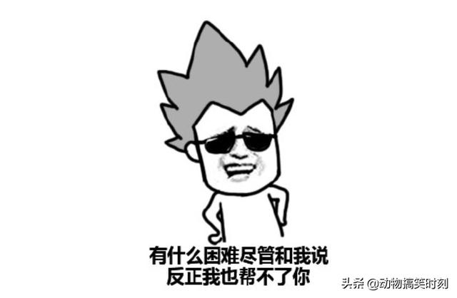 找了半天没有<a href=https://maguai.com/list/39-0-0.html target=_blank class=infotextkey>搞笑</a>题目！你笑啥！<a href=https://maguai.com/list/39-0-0.html target=_blank class=infotextkey>搞笑</a>细胞都来说段<a href=https://maguai.com/list/39-0-0.html target=_blank class=infotextkey>搞笑</a>话题