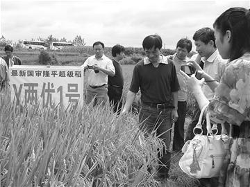 赵咏华:袁隆平院士生前带有多少学生有成就的学生有哪些