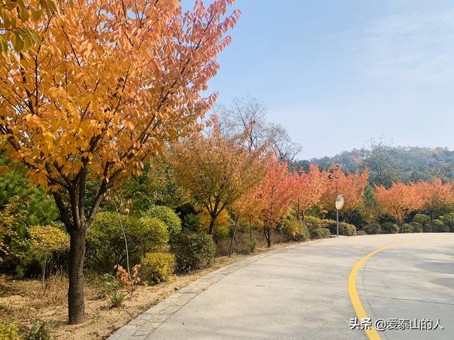 泰安徂徕山大蛇吞人事件:泰山地下大裂谷是怎么形成的，与东非大裂谷有什么不同？