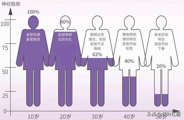 水解胶原纤脸面膜胶(水解胶原精华面膜)