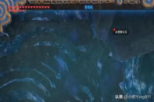 塞尔达传说，支线，巨鲸化石，任务攻略？-第4张图片-9158手机教程网