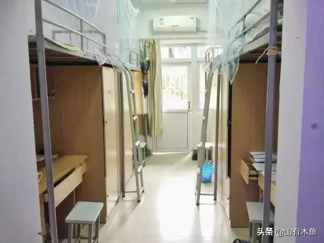 苏大凌云楼:厦门岛内哪里可以钓到大一点的鱼