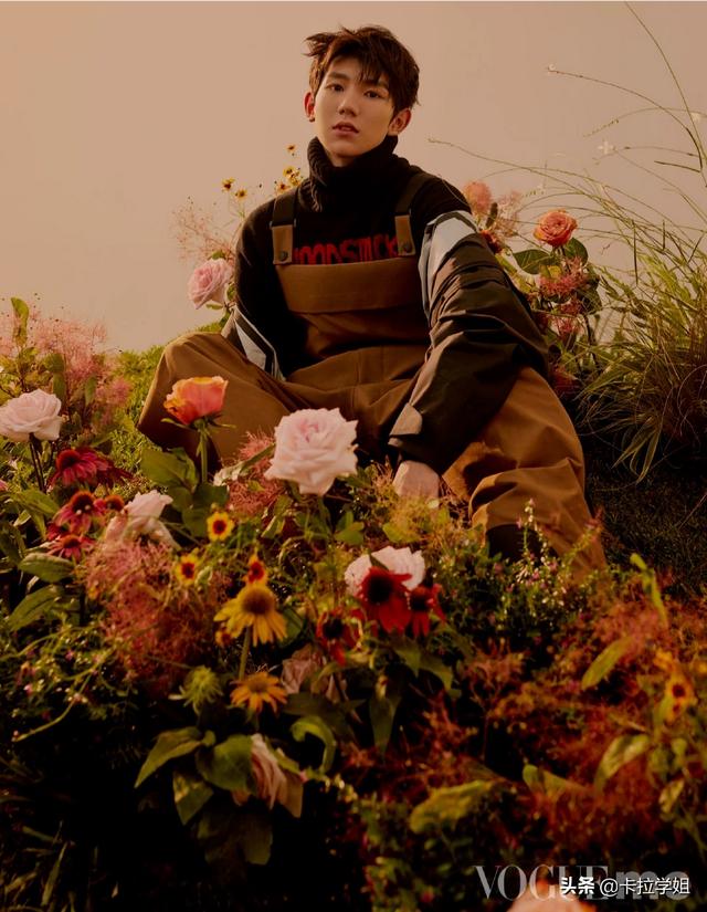 tf家族王源:王源的粉丝可以给我讲一下，王源的成就吗？