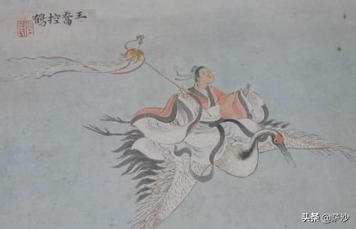 阿根廷巨鸟:有没有一种飞行动物可以被人类当做坐骑在天空飞翔？ 阿根廷巨鹰吃什么饲料驯服