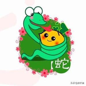 属蛇男与属狗女婚配好不好,生肖蛇男和生肖马女结婚好吗？