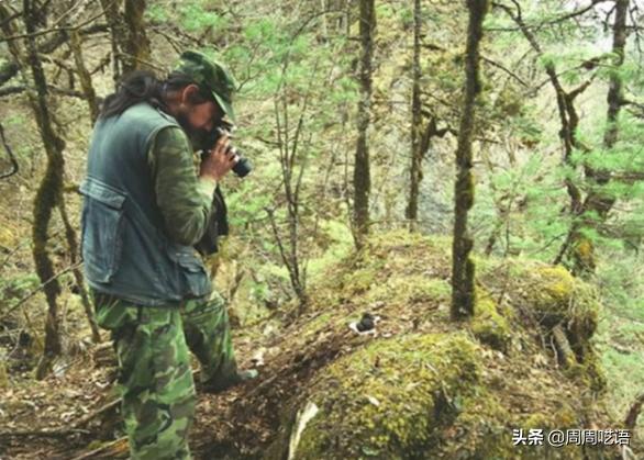 神农架住着600百岁的人，为什么中国“神农架”深处不被允许前往