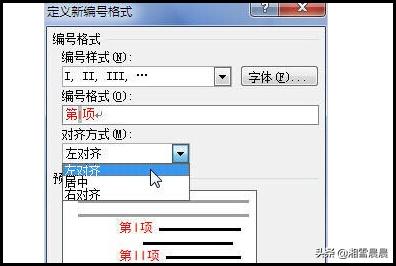 word序号,word编号格式怎么设置？