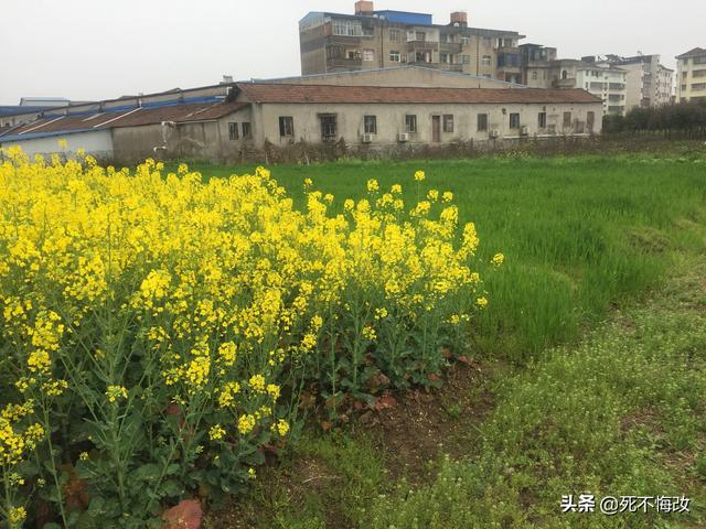 韩愈的古诗有哪些适合(1~4)年级学的？