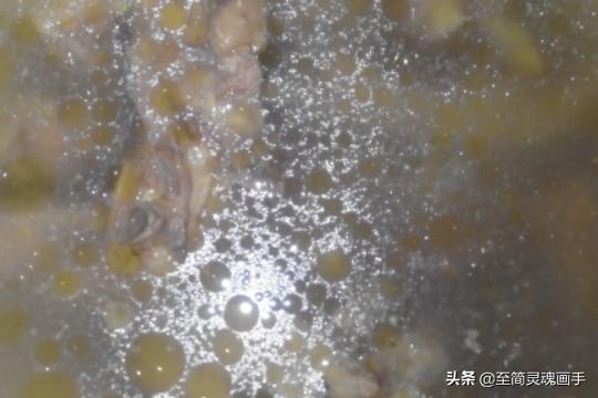 榴莲壳炖鸡的做法，煲榴莲鸡汤，鸡肉放少了会不好吗？