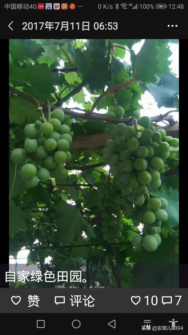 为什么有钱人都住一楼,为什么住一楼的都说一楼最不好？