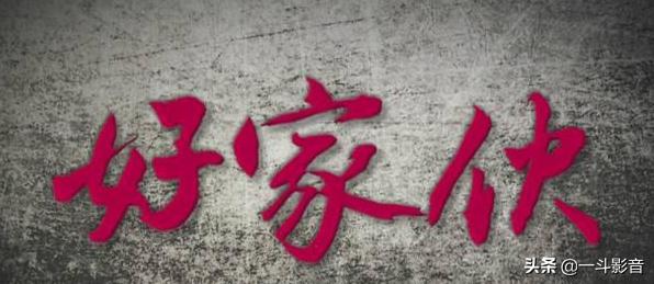 张殿伦:你觉得《好家伙》这部电视剧怎么样？