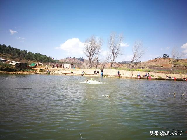 黄金鲫鱼的优势:冬天野钓鲫鱼如何选择钓位？