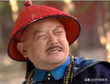 和珅级别有多大？