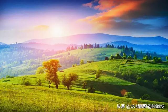 病理学与病理生理学病例分析及答案:徐州医科大学与西南医科大学相比，哪个比较好？