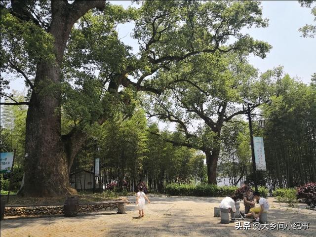 <a href=https://maguai.com/list/256-0-0.html target=_blank class=infotextkey>朋友圈</a>图片配图风景:能不能发一张你觉得最美的家乡风景照，能让我在手机上<a href=https://maguai.com/list/52-0-0.html target=_blank class=infotextkey>旅游</a>一次？