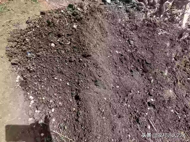 兔粪发酵:兔子排泄物可以直接当肥料吗？