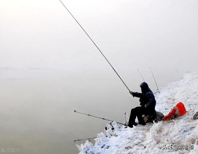 钓鲫鱼技巧口诀，冬季怎么还可以钓到鲫鱼，钓鲫鱼的方法技巧是什么呢