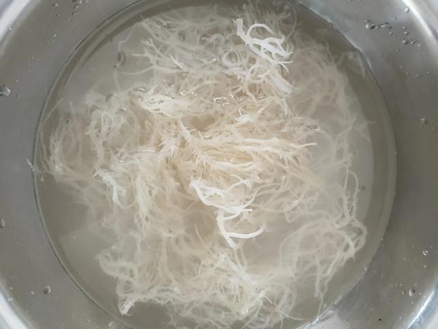 凉菜狗宝是什么东西:小时候凉拌菜里的鹿角菜现在怎么没有了？ 狗宝咸菜是什么东西啊