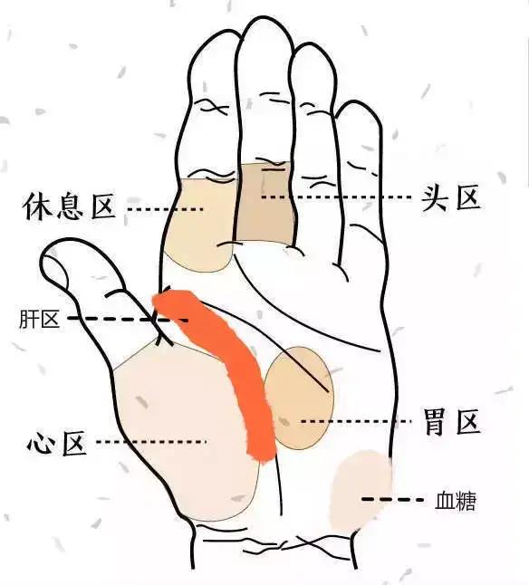 头条问答 - 小鱼际发红怎么调理?(1个回答)