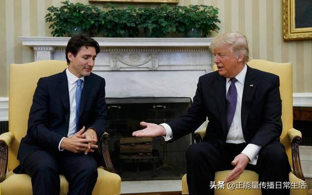 加拿大宠物吧:加拿大、澳大利亚、乌克兰算是国际上的政治三猪吗？ 加拿大宠物市场