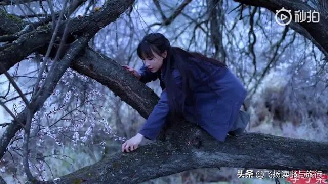 27岁李子柒爆红的背后,究竟藏着怎样不为人知的秘密？