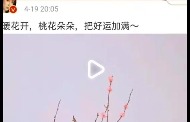 杨紫张艺兴:杨紫和张艺兴是真的在一起了吗？
