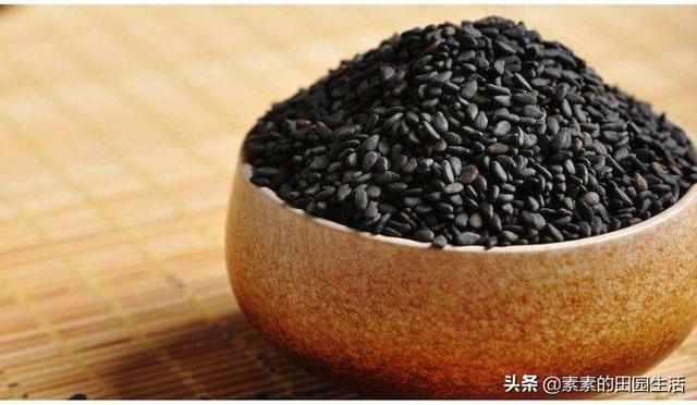 在四川能不能种植芝麻,种植芝麻需要注意什么？