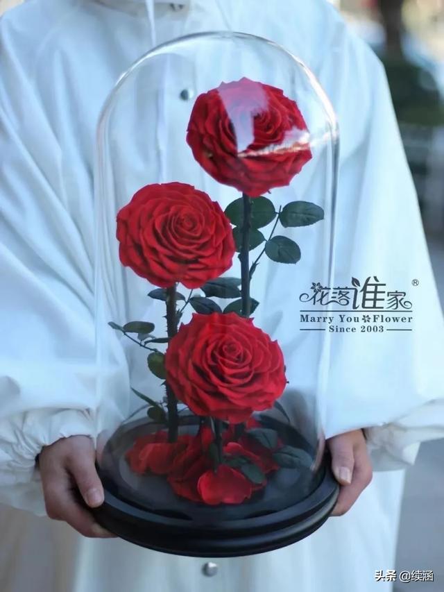 林心如婚礼:林心如被传遭赶出家门，杨颖情人节疑暗示单身，她们到底怎么了？