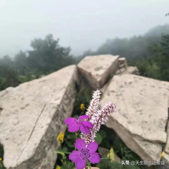 叶安娜:一个女人没有自己的生活空间怎么办？