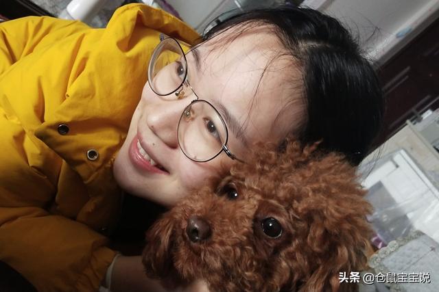 西施犬造型图:适合女孩子养的小型犬有哪些？ 西施犬造型图片