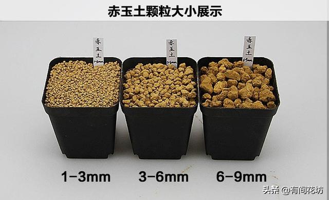 头条问答 赤玉土适合哪些盆景 26个回答