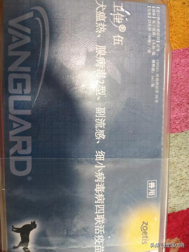 牛羊脑炎疫苗:小狗预防脑炎打什么疫苗？
