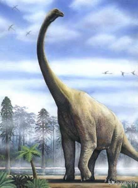 如果在某个原始森林里有恐龙出现人类会杀了恐龙还是保护呢