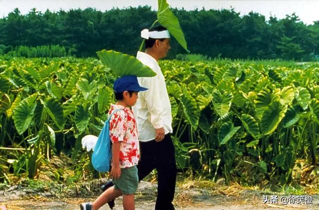 阿凡达11年后重映:十年后阿凡达票房第一，是为情怀买账还是证明了中美电影差距