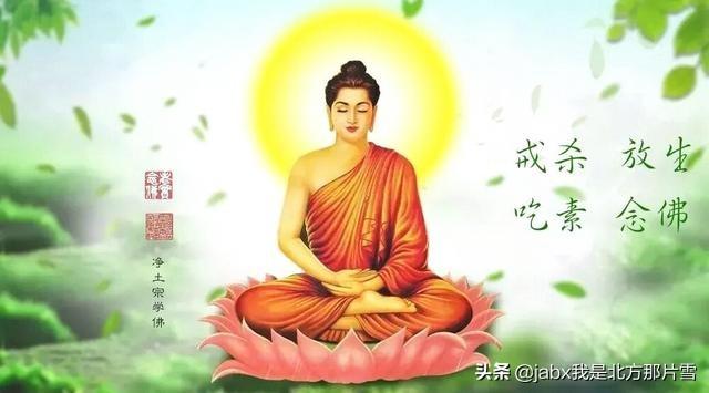 头条问答 - 吃斋念佛的人都善良吗?(37个回答)