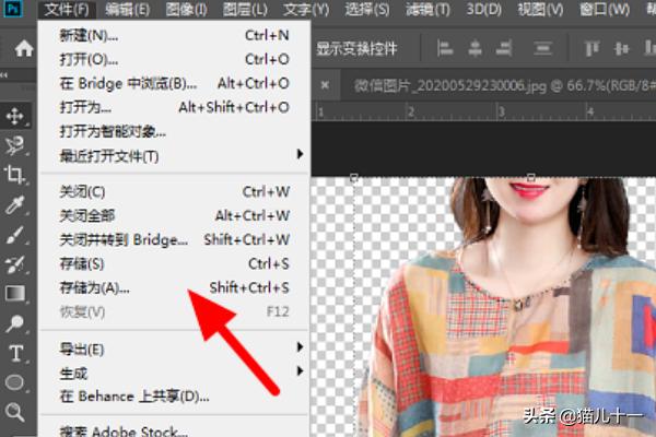 变色龙的图片制作:怎么自己制作二次元的图片？