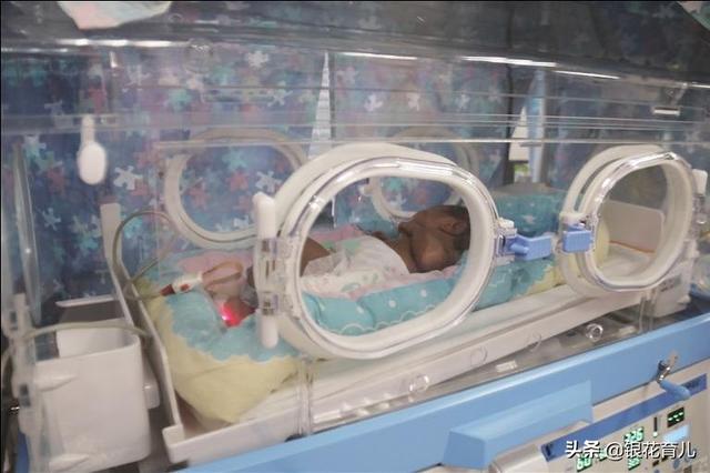 懒猴暖箱:以前早产儿照样长大，如今医疗条件好了，早产儿为何还要进暖箱？