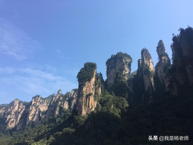 张家界翼装飞行:张家界翼飞失踪几天寻找的费用由谁承担合理呢？